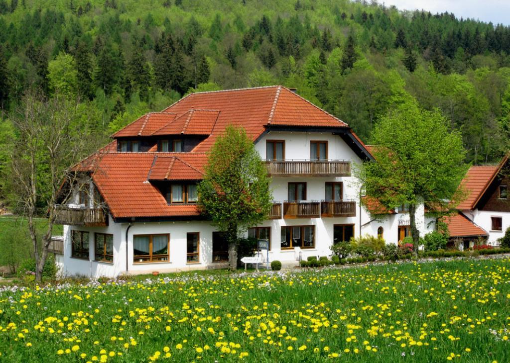 Rhön-Hotel Sonnenhof - Restaurant&Café Poppenhausen Extérieur photo
